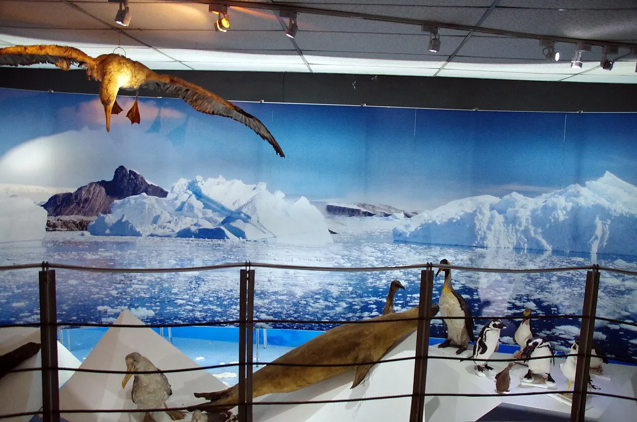 Museo Salesiano Maggiorino Borgatello, Punta Arenas, Region of Magallanes, Chile