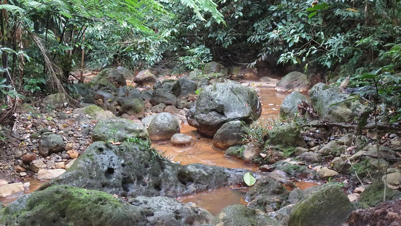 Makiling Mud Spring, Los Baños, Calabarzon, Philippines