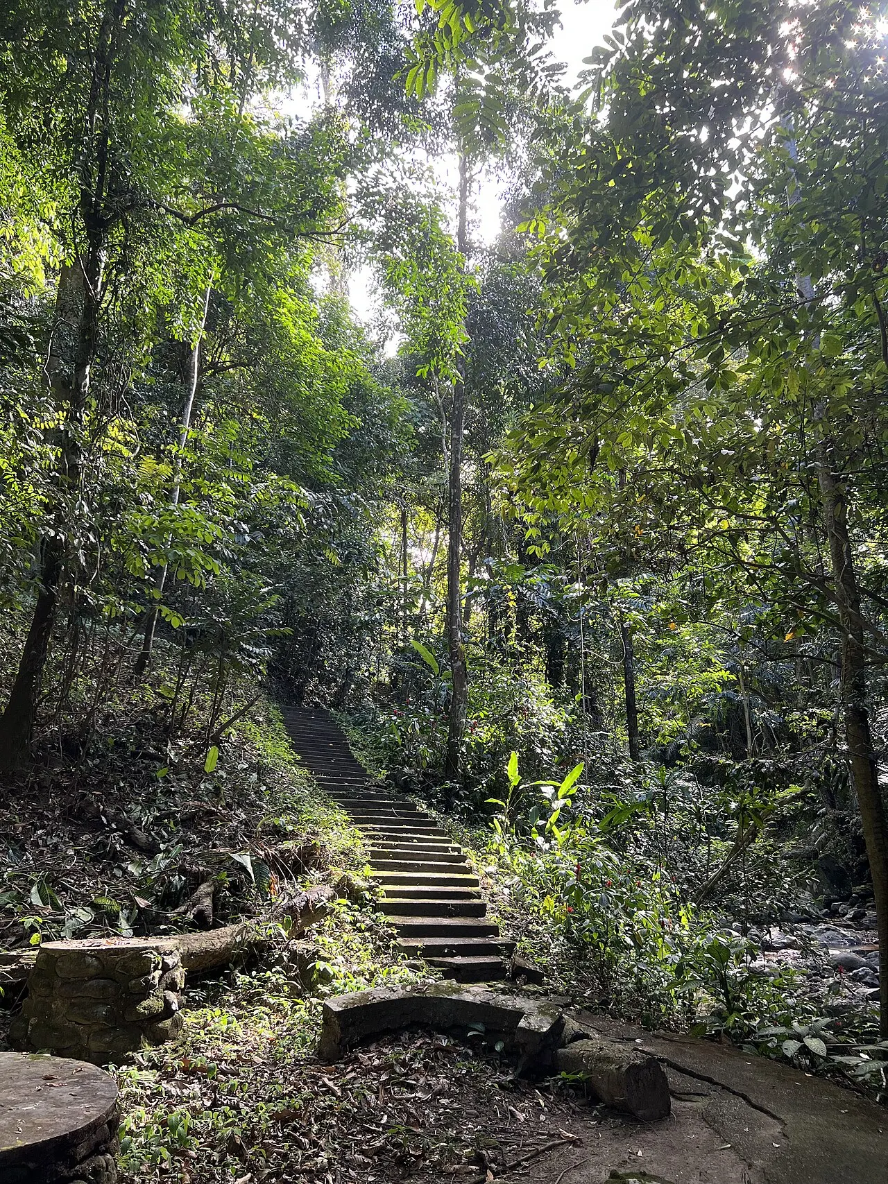 Makiling Botanic Gardens, Los Baños, Calabarzon, Philippines