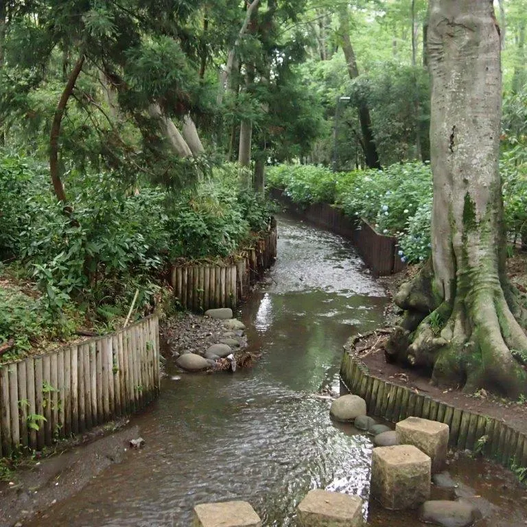 Kurome River Walk, Higashikurume, Tokyo, Japan