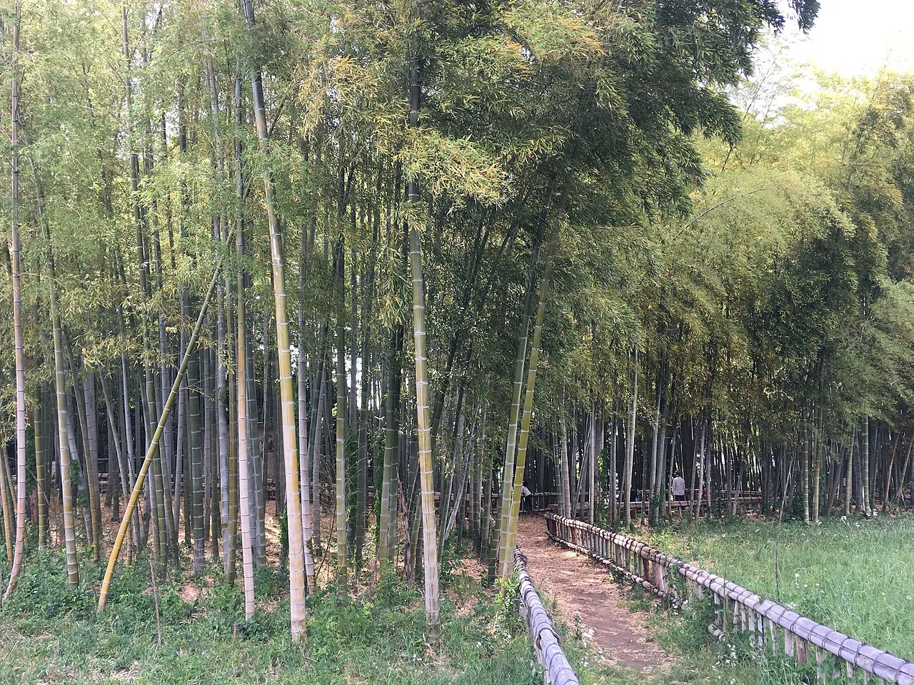 Chikurin Park, Higashikurume, Tokyo, Japan