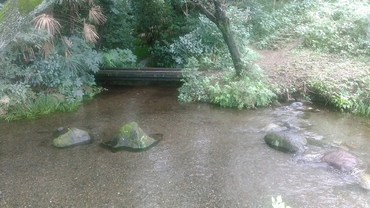 Minamisawa Green Conservation Area, Higashikurume, Tokyo, Japan