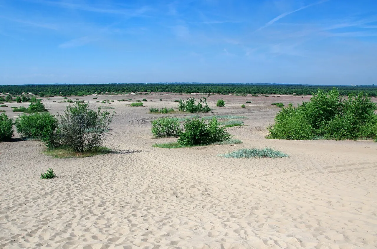 Błędów Desert, Dąbrowa Górnicza, Silesia, Poland