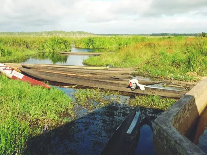 Rawa Biru Lake, Merauke, South Papua, Indonesia