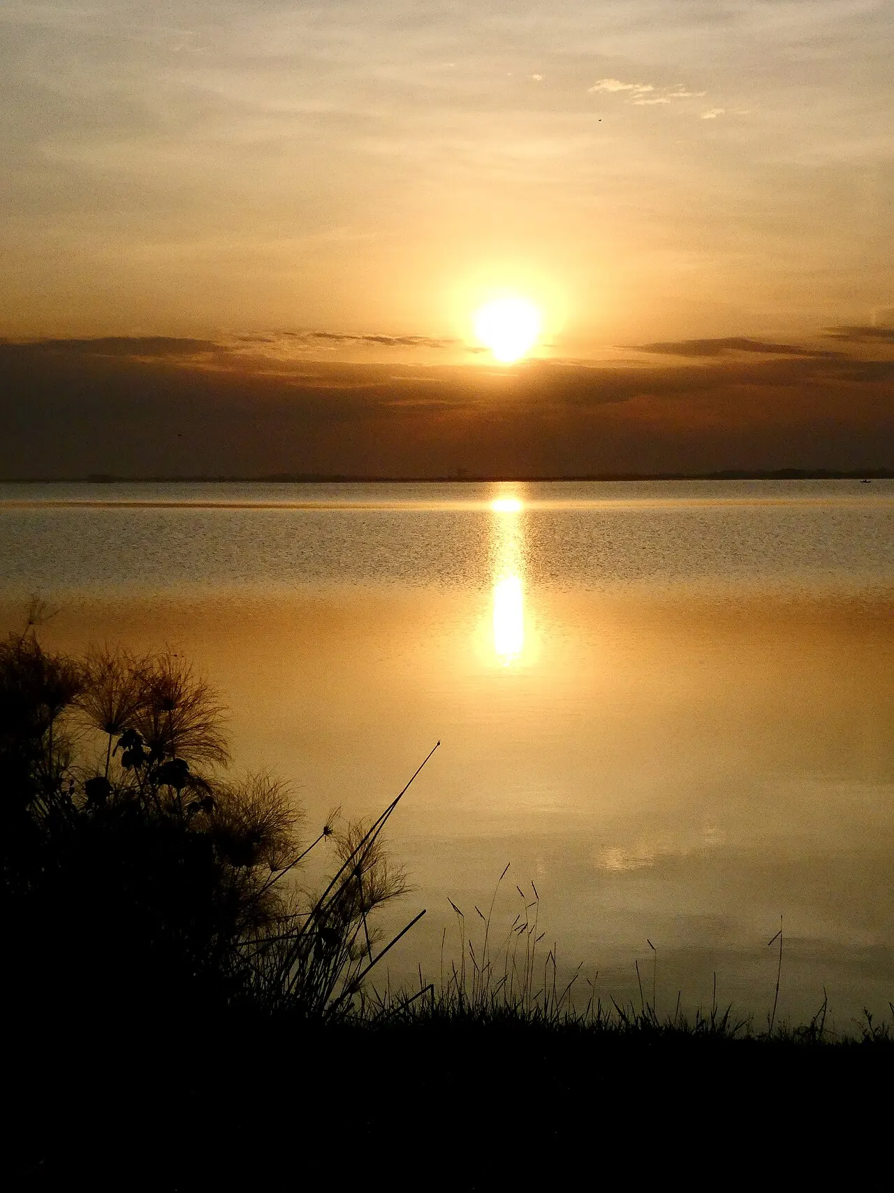 Lake Nabugabo, Masaka, Central Region, Uganda