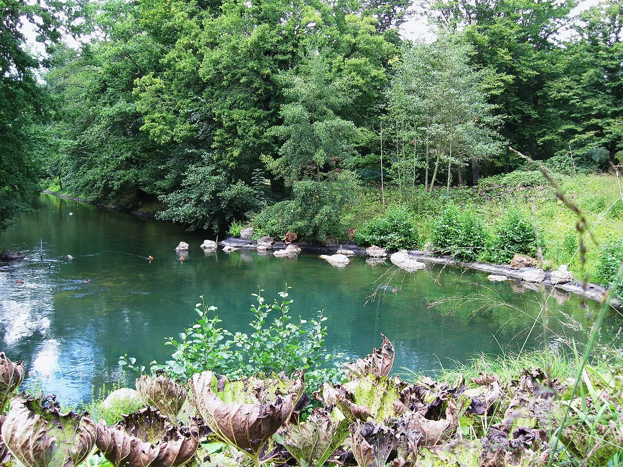 Parc Floral de la Source, Orléans, Centre-Val de Loire, France