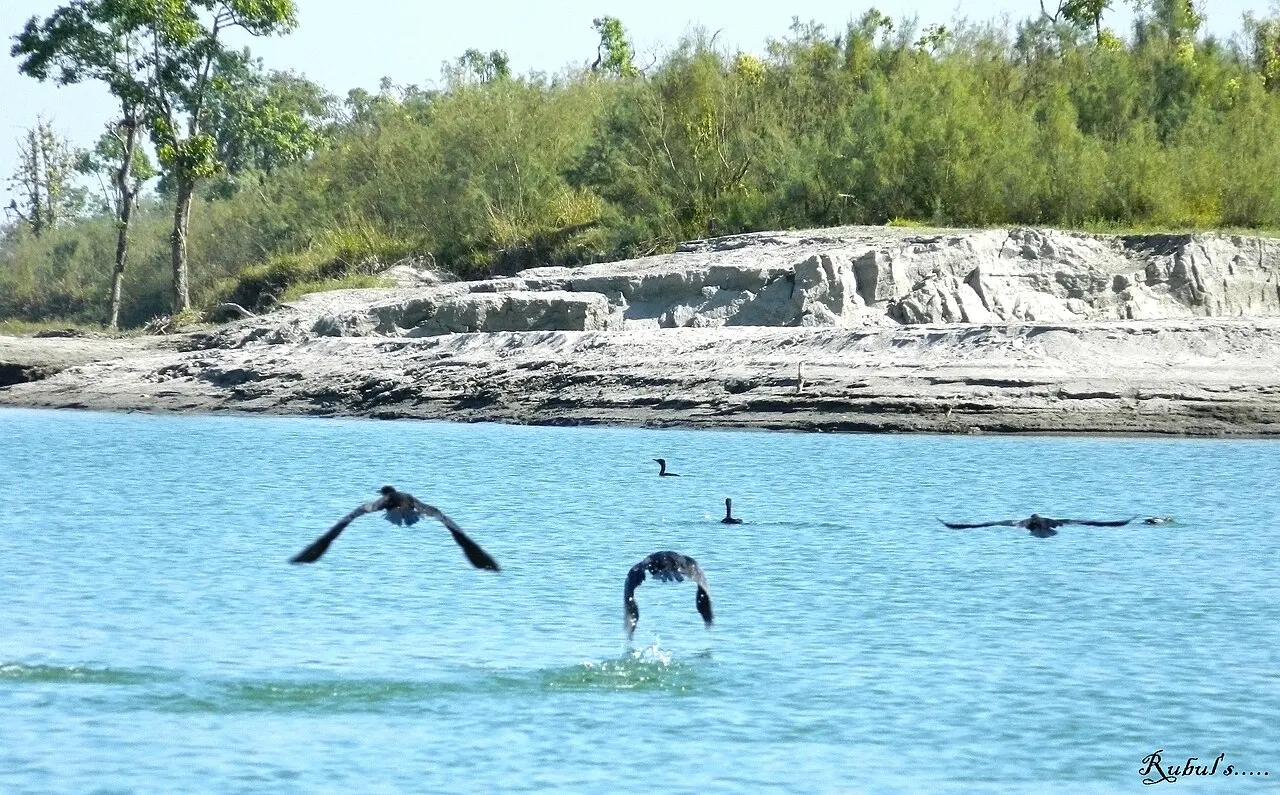 Dibru-Saikhowa National Park, Tinsukia, Assam, India