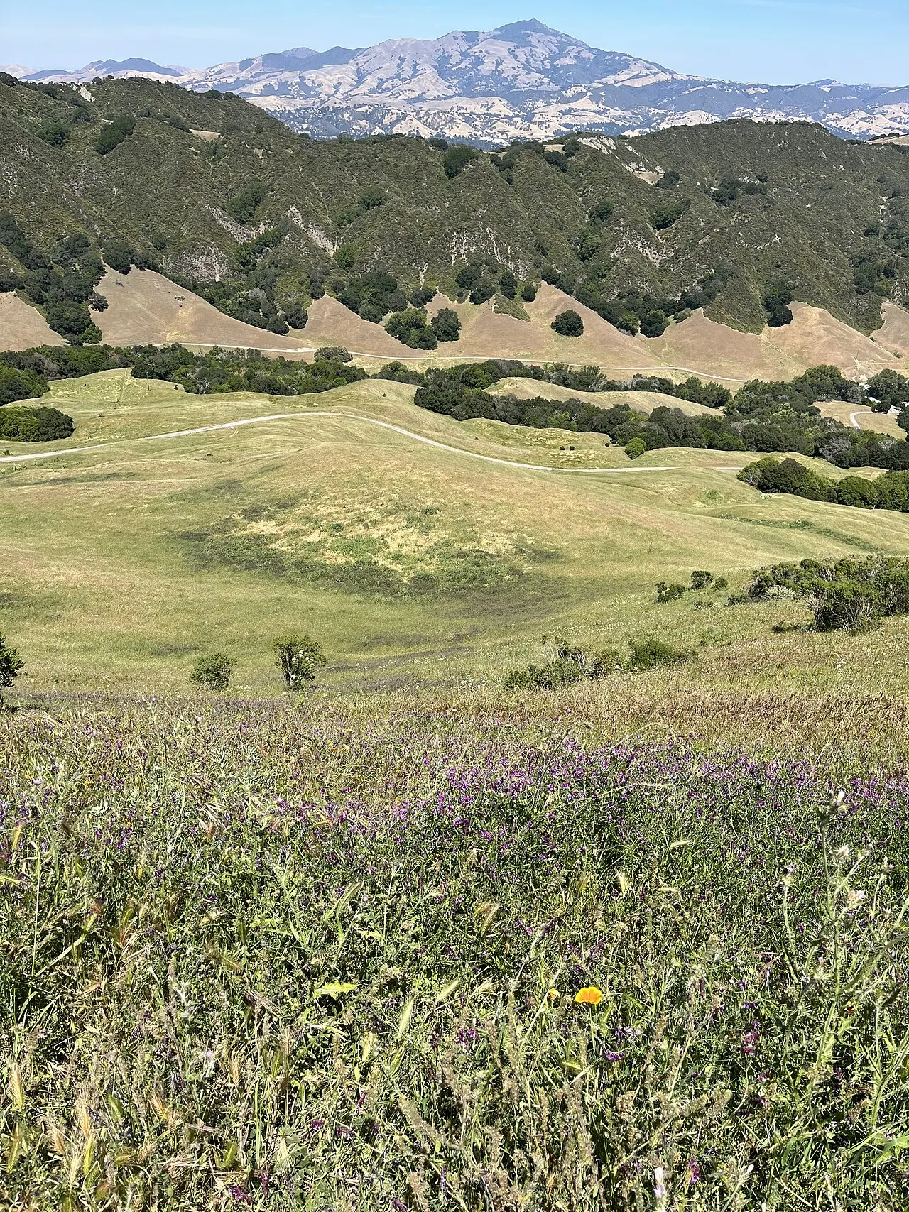 Bollinger Canyon, San Ramon, California, United States