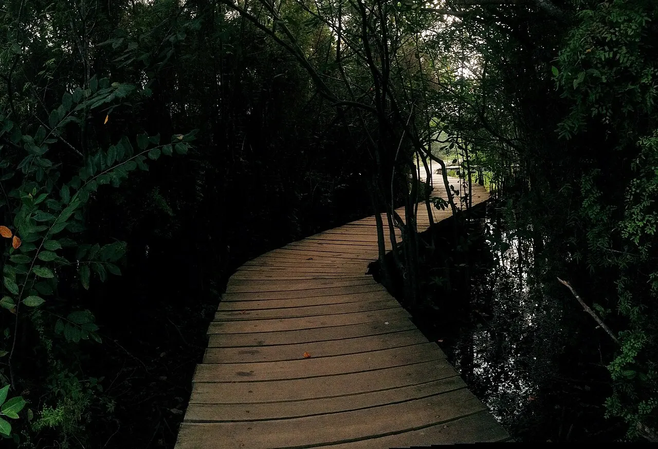 Beddagana Wetland Park, Sri Jayewardenepura Kotte, Western Province, Sri Lanka