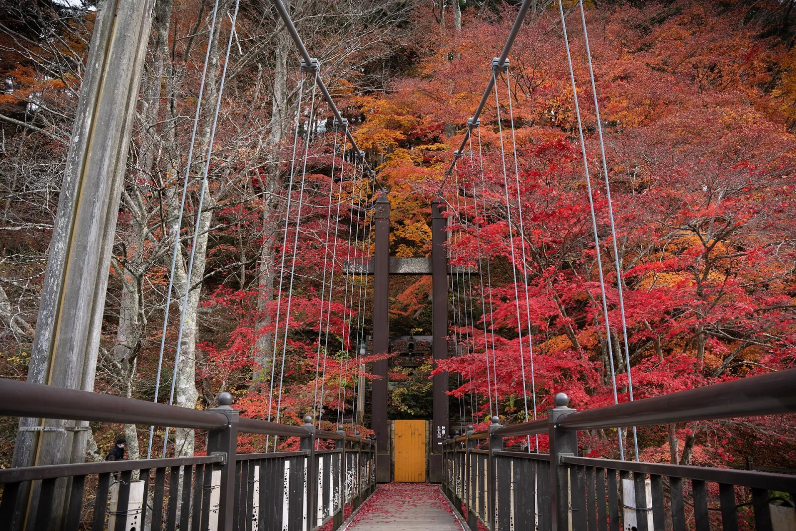 Kurenai Bridge (52509530526), Nasushiobara, Tochigi, Japan