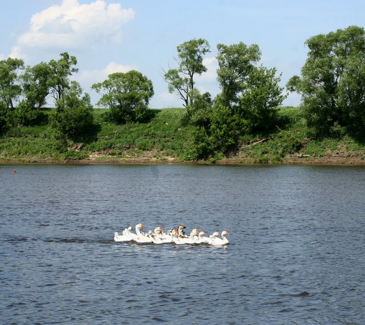 Galichya Gora Nature Reserve, Yelets, Lipetsk Oblast, Russia