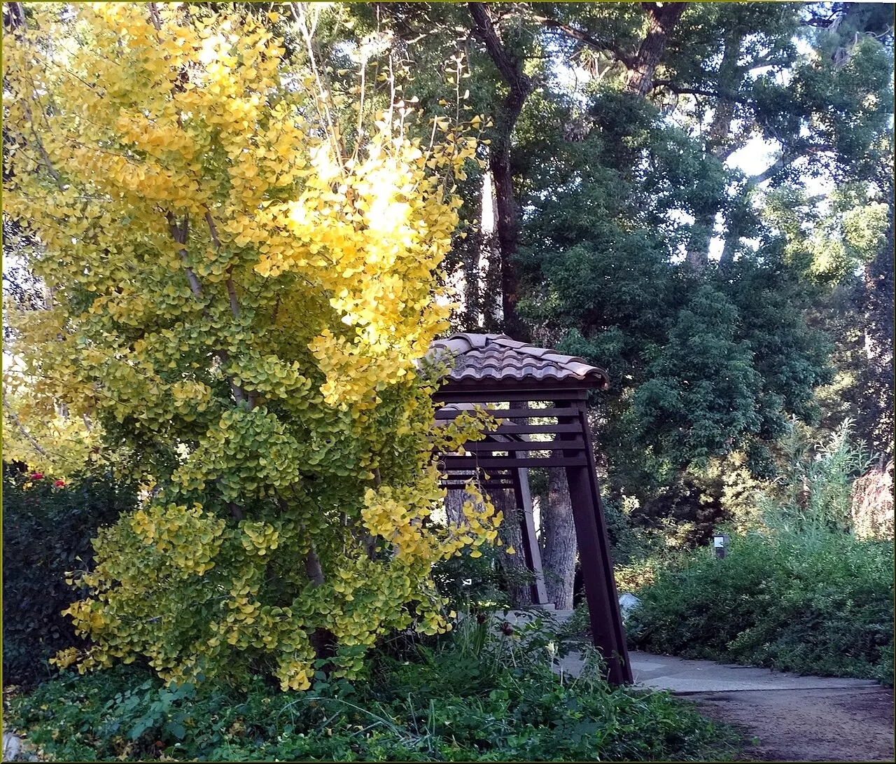Prospect Park Redlands, Redlands, California, United States