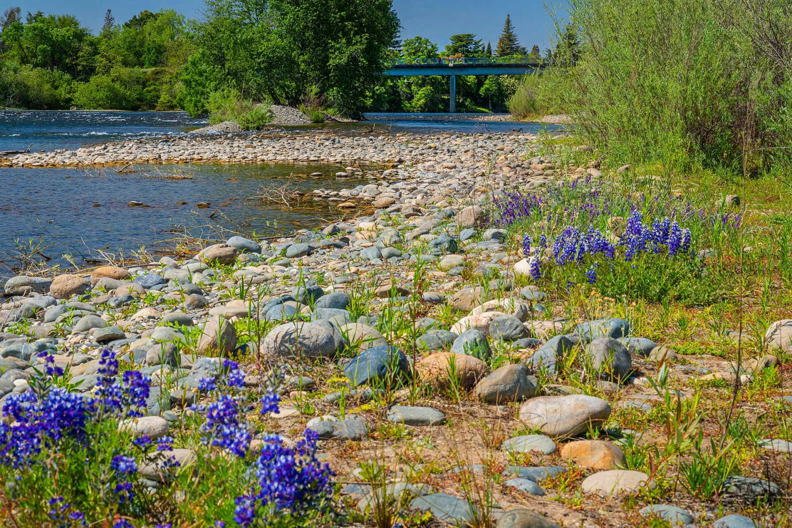City of Rancho Cordova American River, California