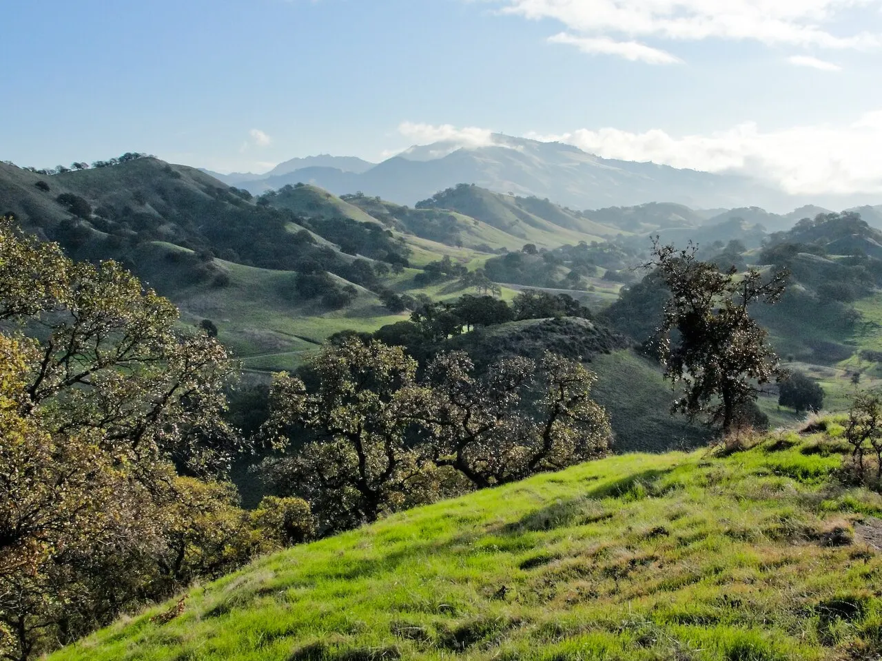 Shell Ridge Open Space, Walnut Creek, California, United States