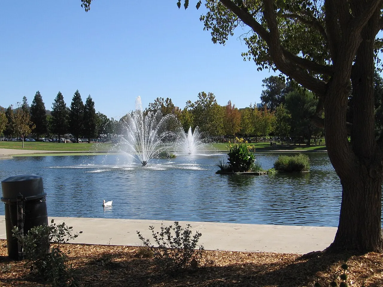 Heather Farm Park, Walnut Creek, California, United States