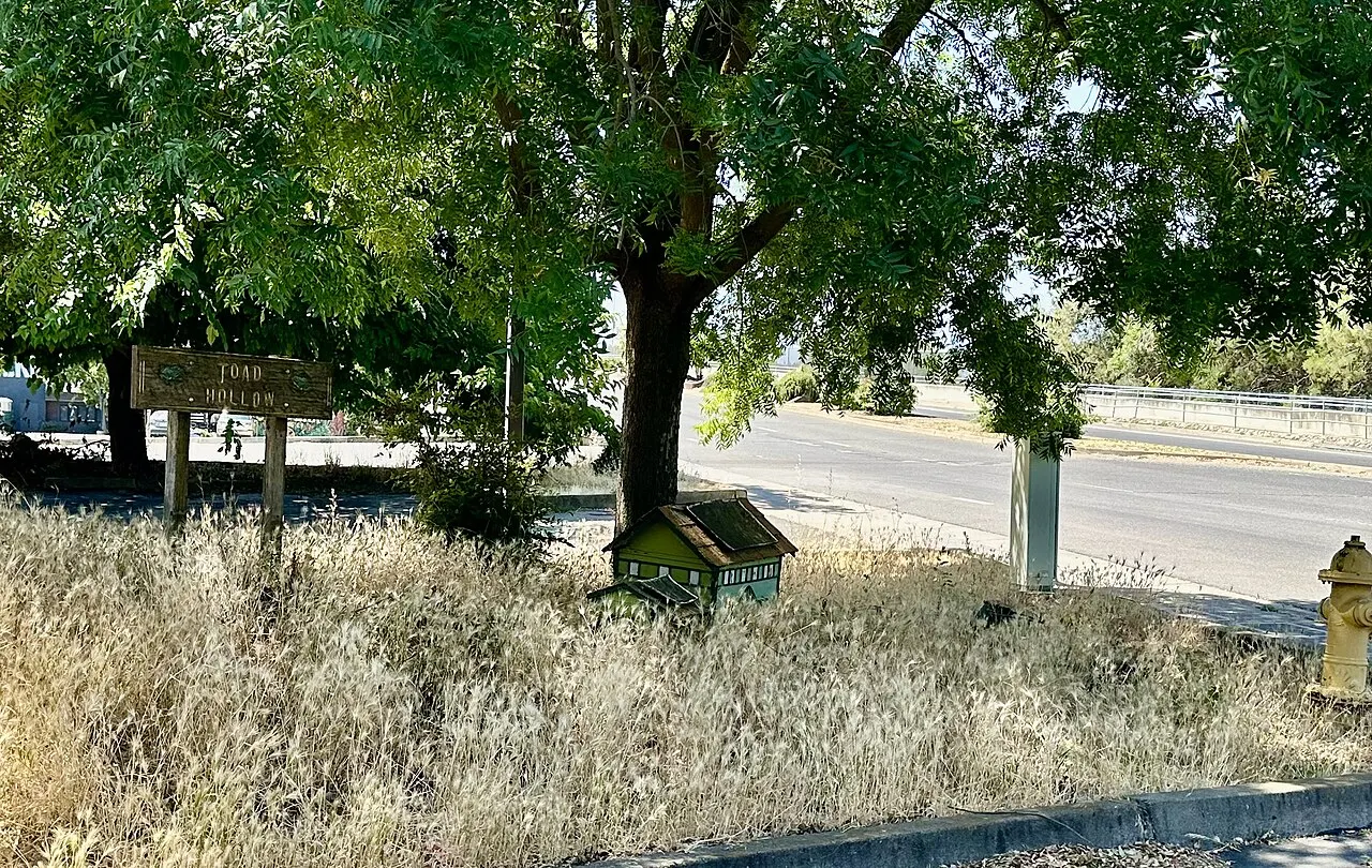 Davis Toad Tunnel, Davis, California, United States