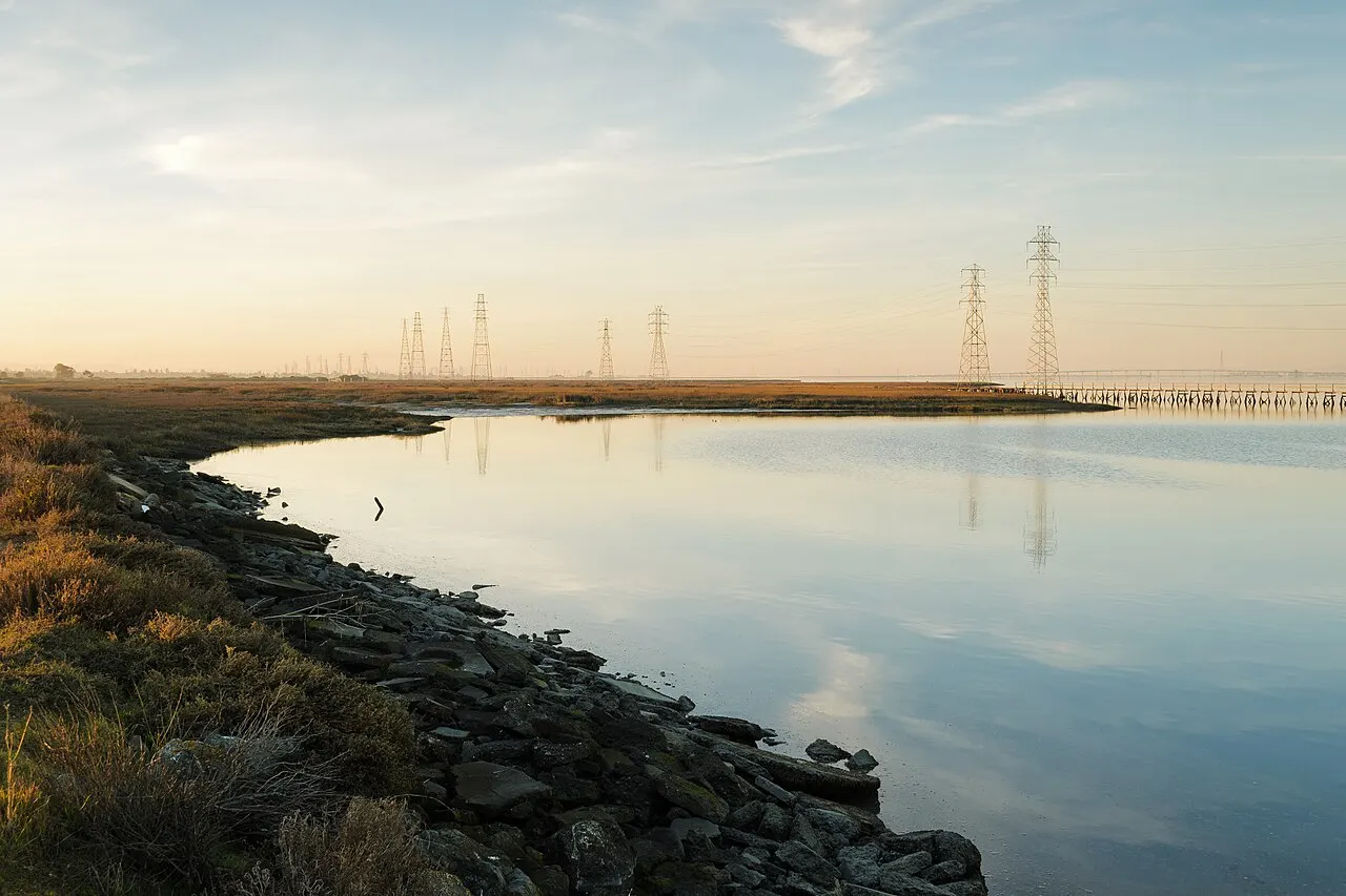 Palo Alto Baylands Nature Preserve, Palo Alto, California, United States