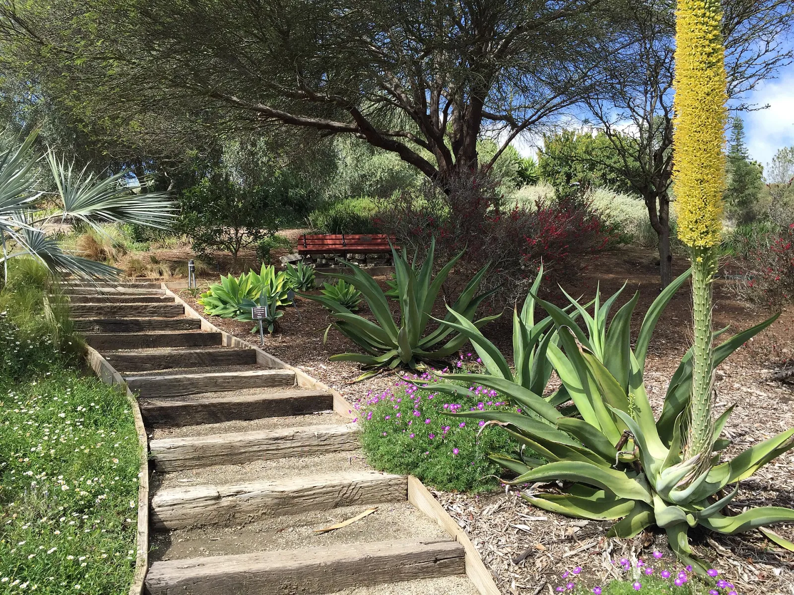 Niguel Botanical Preserve, Laguna Niguel, California, United States
