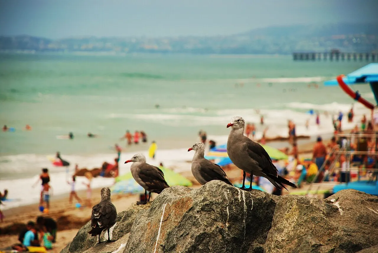 San Clemente State Beach, San Clemente, California, United States