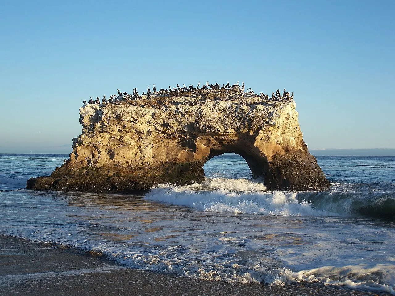 Natural Bridges State Beach, Santa Cruz, California, United States