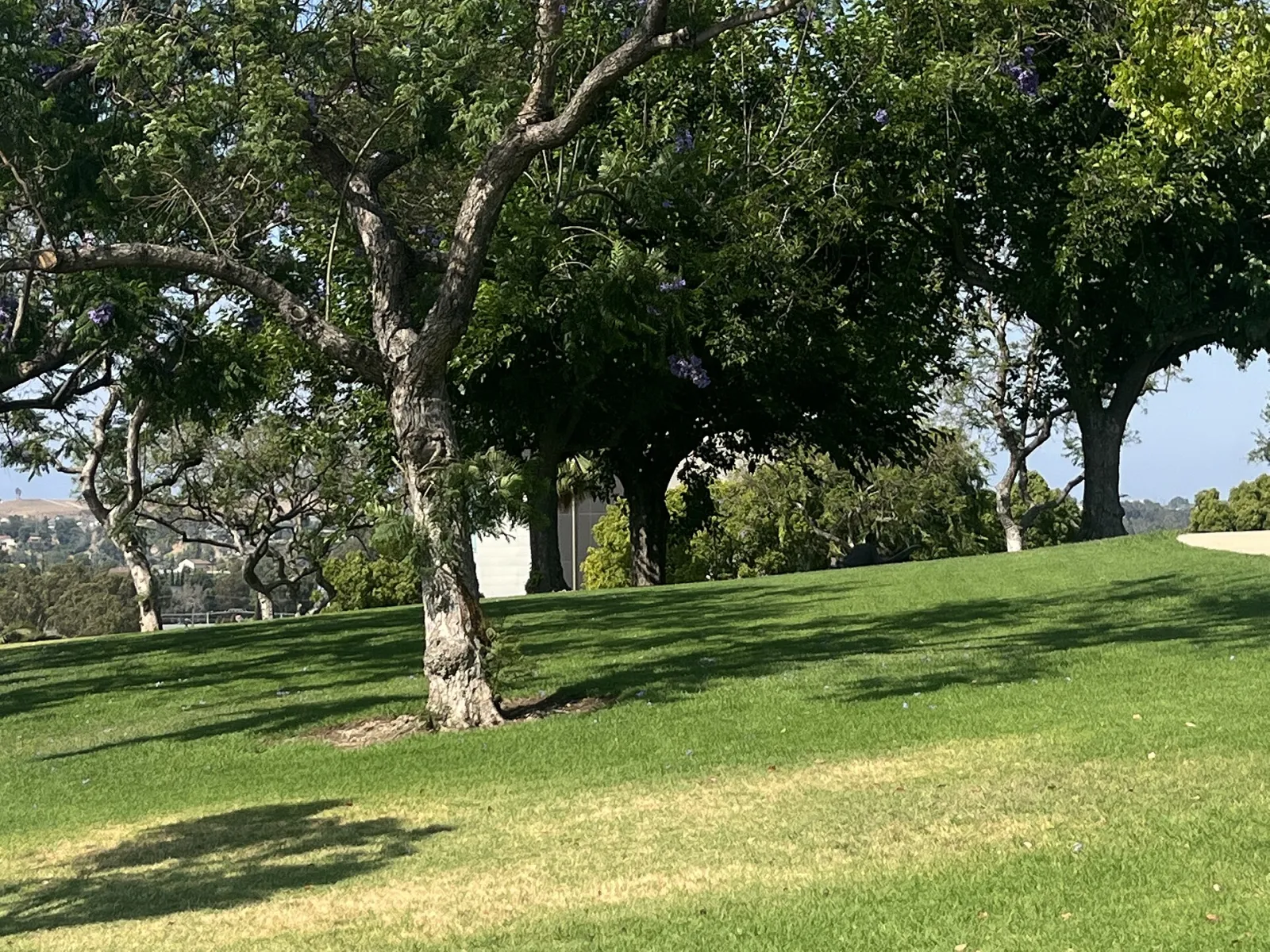 Bicknell Park (Montebello) July 2023, Montebello, California, United States
