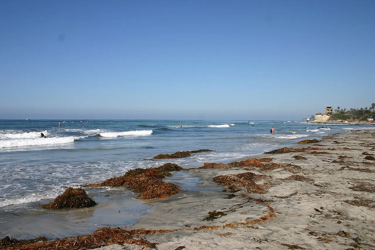 Cardiff State Beach, Encinitas, California, United States