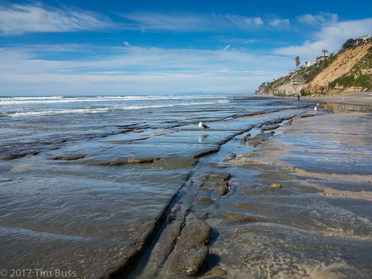 Beacon's Beach, Encinitas, California, United States