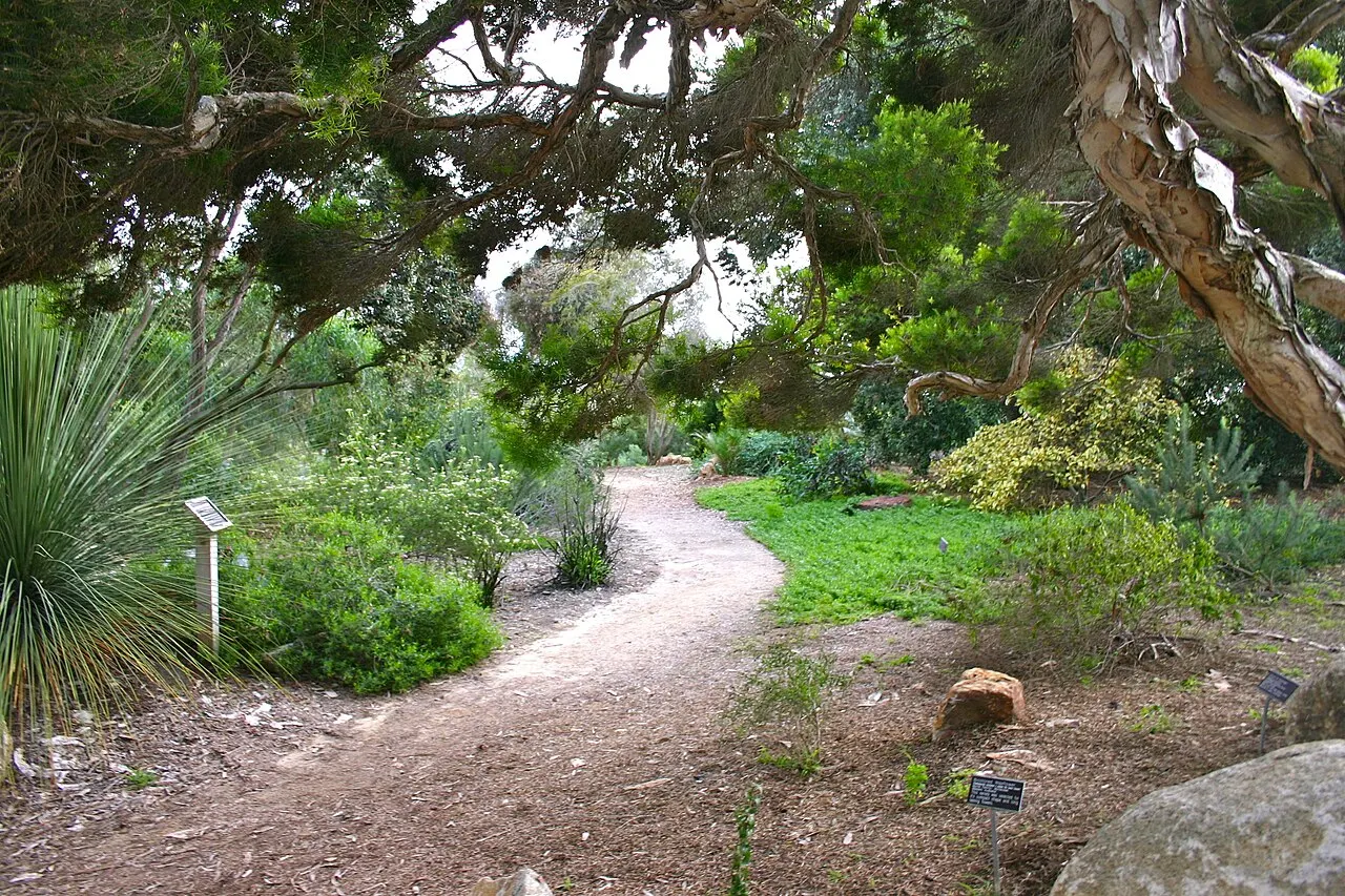 San Diego Botanic Garden, Encinitas, California, United States