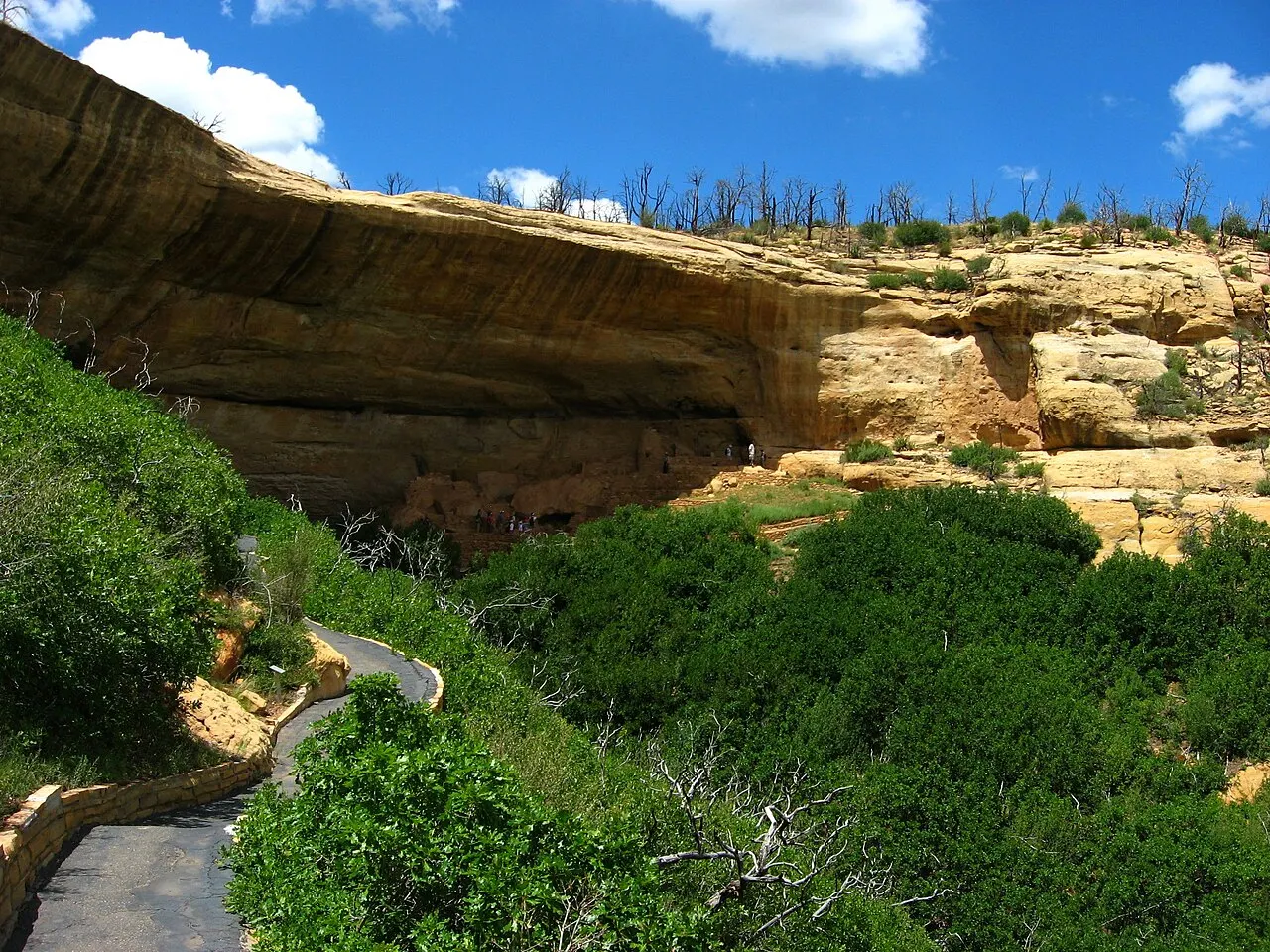 Step House, Mesa Verde National Park, Colorado, United States