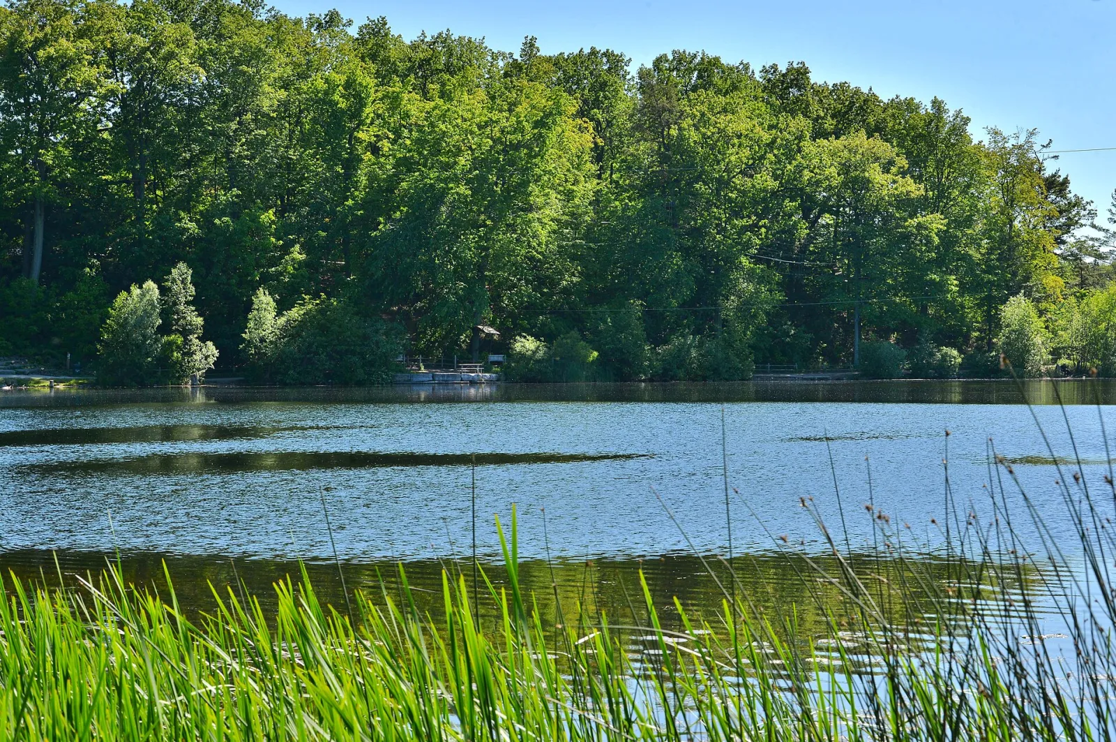 Brampton, Ontario, Canada