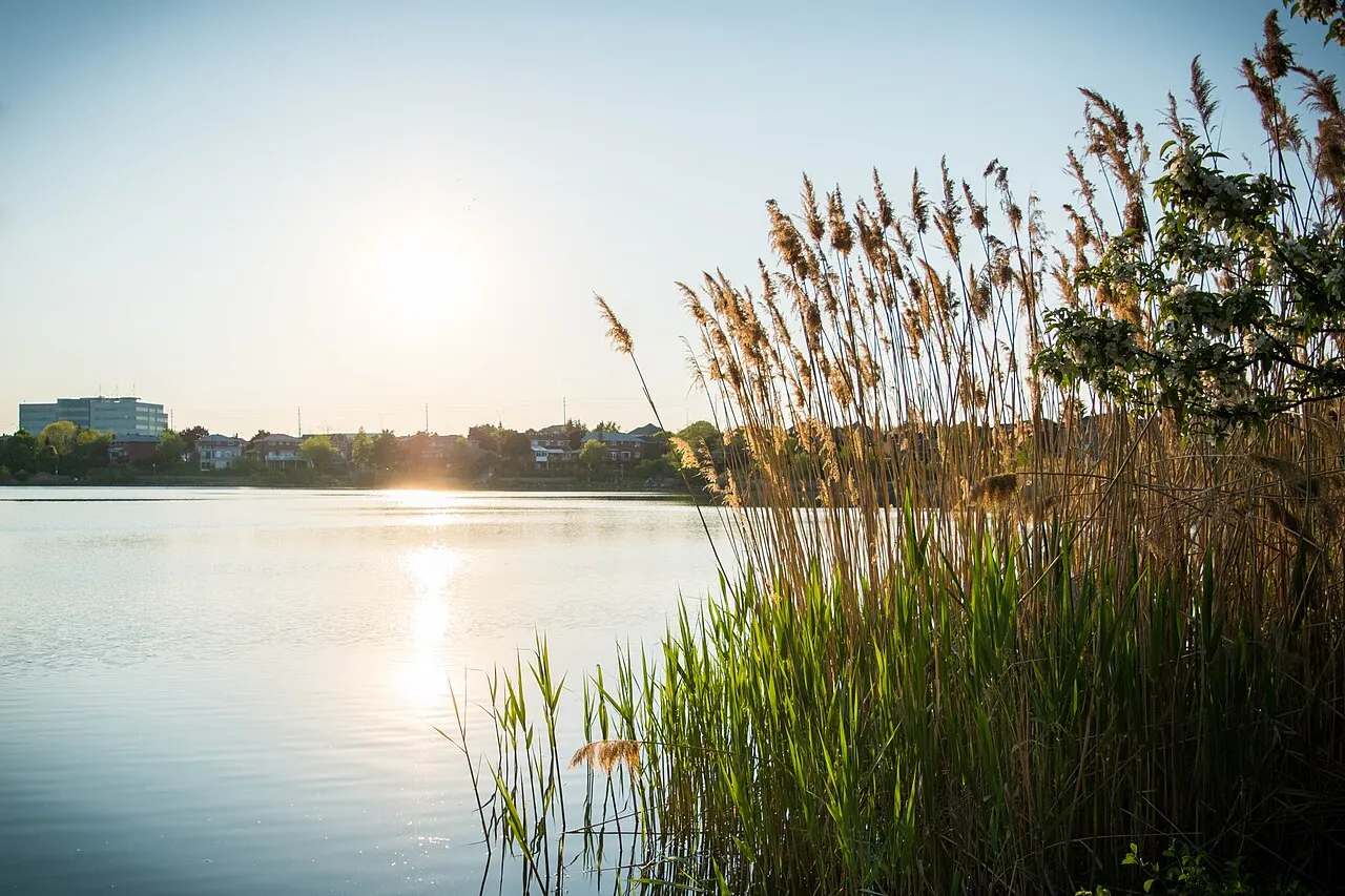Professor's Lake, Brampton, Ontario, Canada