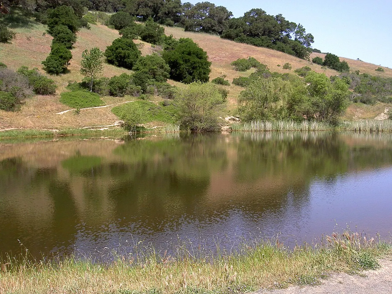 Helen Putnam Regional Park, Petaluma, California, United States