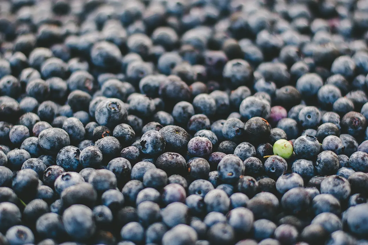 Marin Farmers Market, San Rafael, California, United States