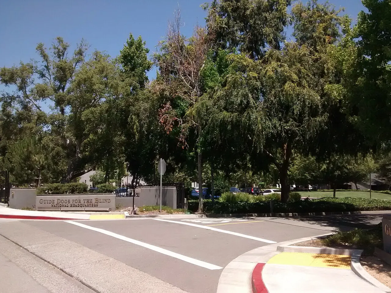 Guide Dogs for the Blind, San Rafael, California, United States