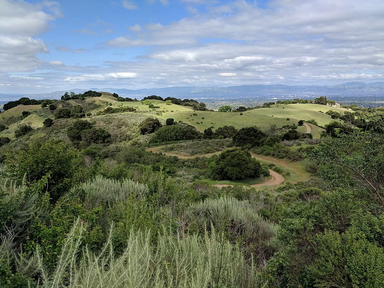 Fremont Older Open Space Preserve, Cupertino, California, United States