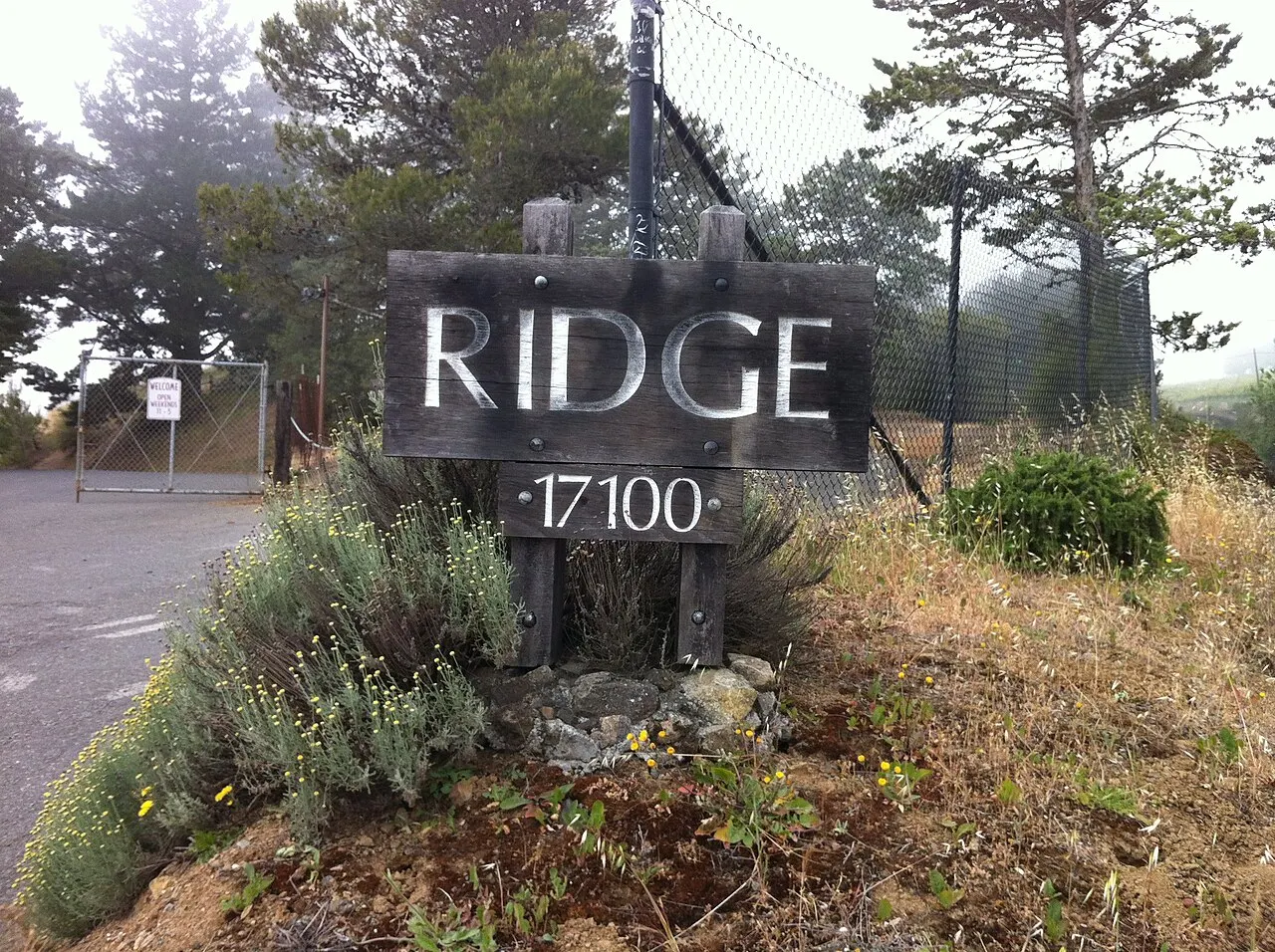 Ridge Vineyards Monte Bello, Cupertino, California, United States