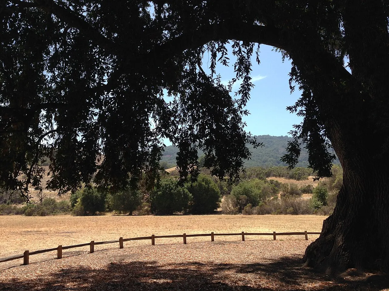 Rancho San Antonio Preserve, Cupertino, California, United States