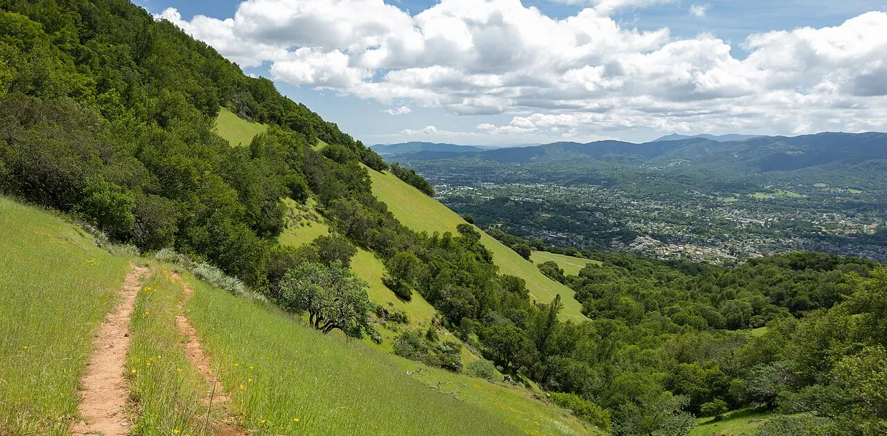 Mount Burdell Open Space, Novato, California, United States