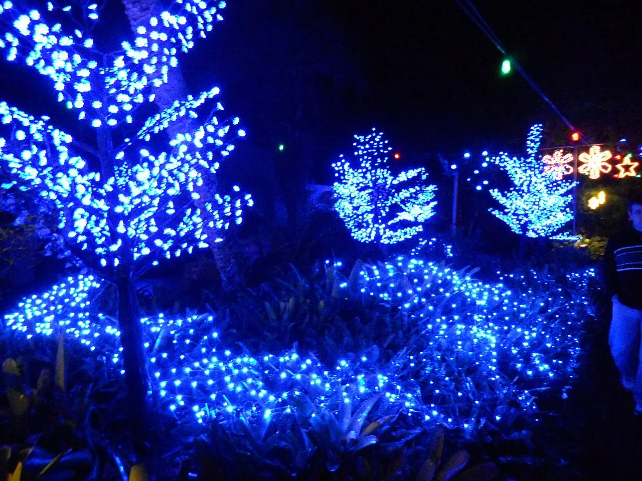 ZooTampa at Lowry Park, Tampa, Florida, United States