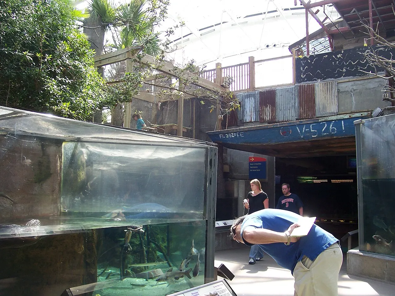 The Florida Aquarium, Tampa, Florida, United States