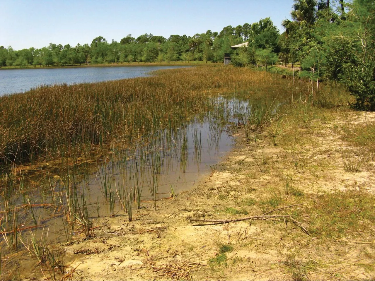 Grassy Waters Preserve, West Palm Beach, Florida, United States
