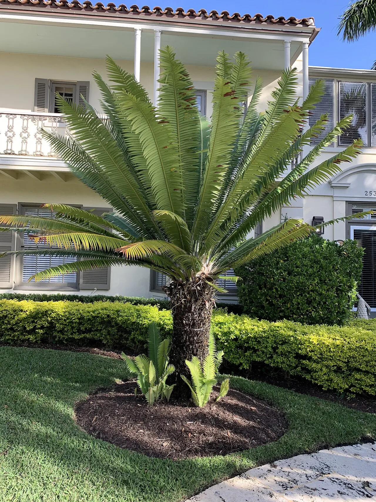 Ann Norton Sculpture Gardens, West Palm Beach, Florida, United States