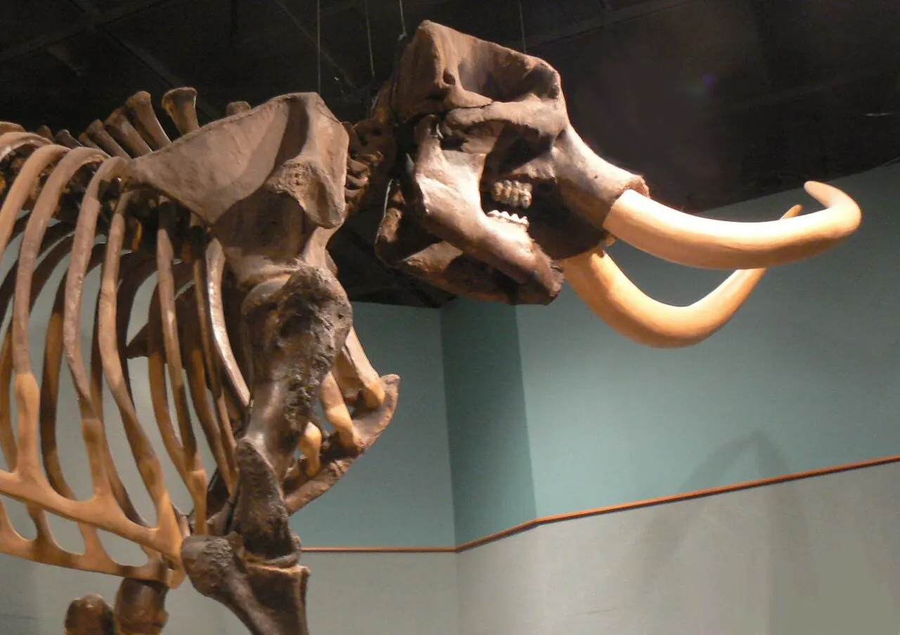 Museum of Florida History, Tallahassee, Florida, United States