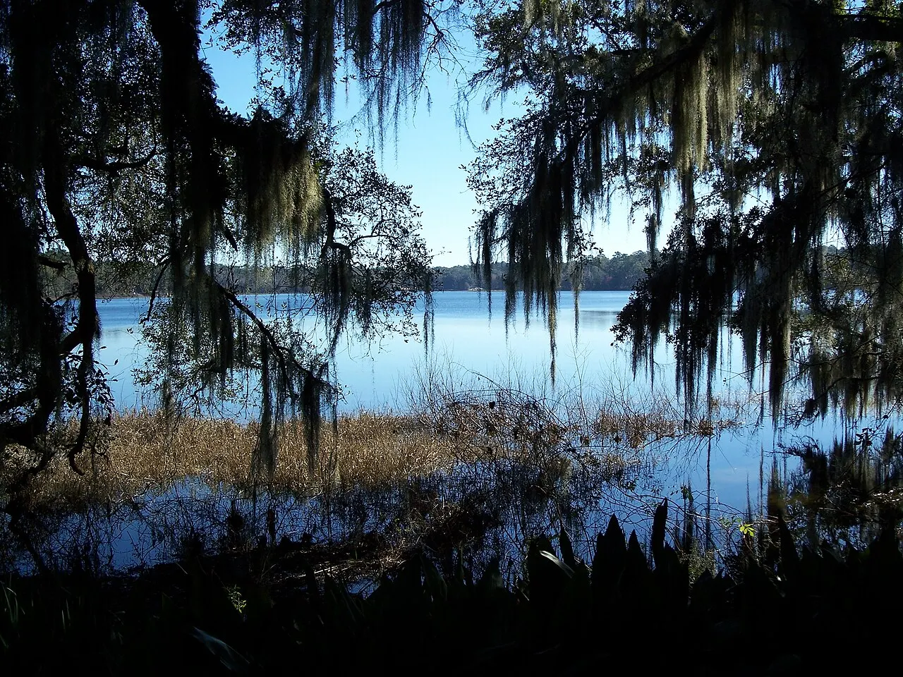 Alfred B. Maclay Gardens State Park, Tallahassee, Florida, United States