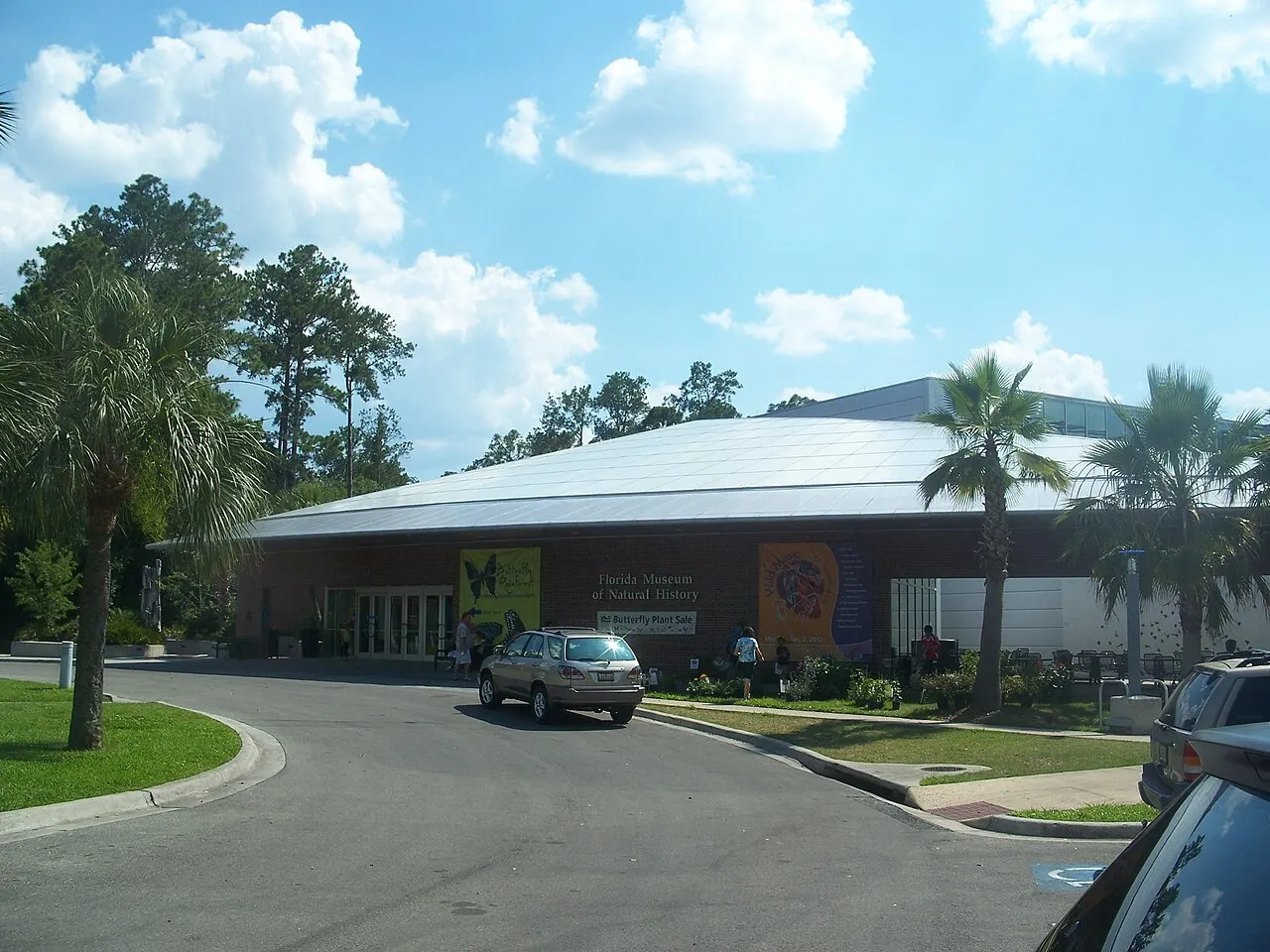 Florida Museum of Natural History, Gainesville, Florida, United States