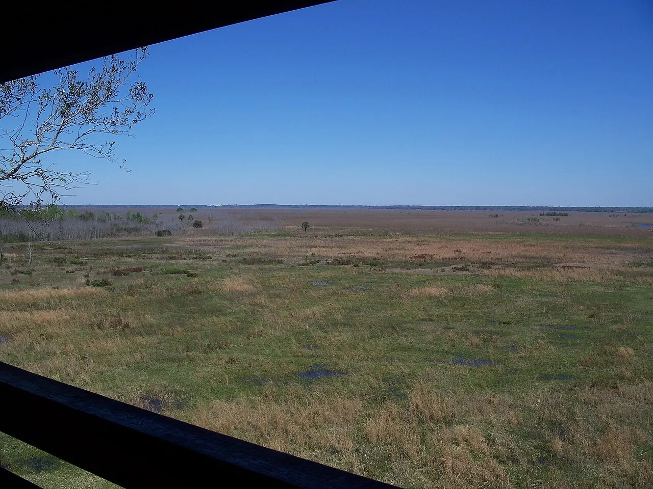 Paynes Prairie Preserve State Park, Gainesville, Florida, United States
