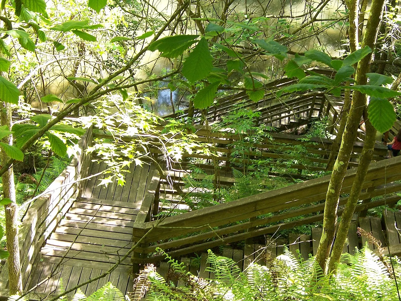 Devil's Millhopper Geological State Park, Gainesville, Florida, United States
