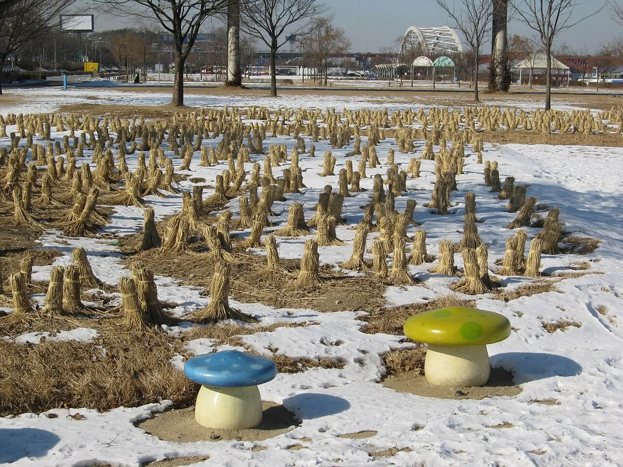 Yeouido Hangang Park, Seoul, South Korea