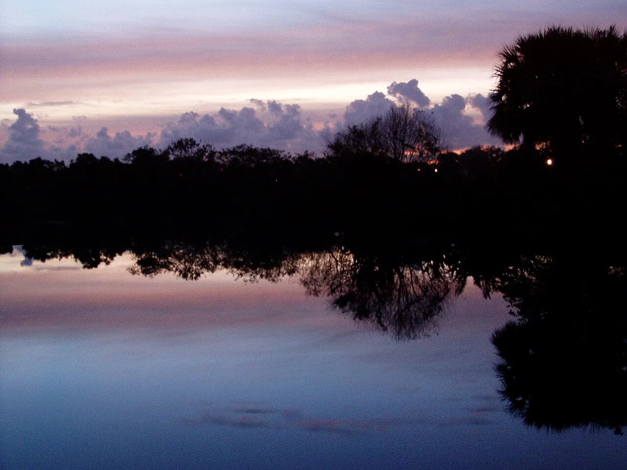 Wakodahatchee Wetlands, Delray Beach, Florida, United States