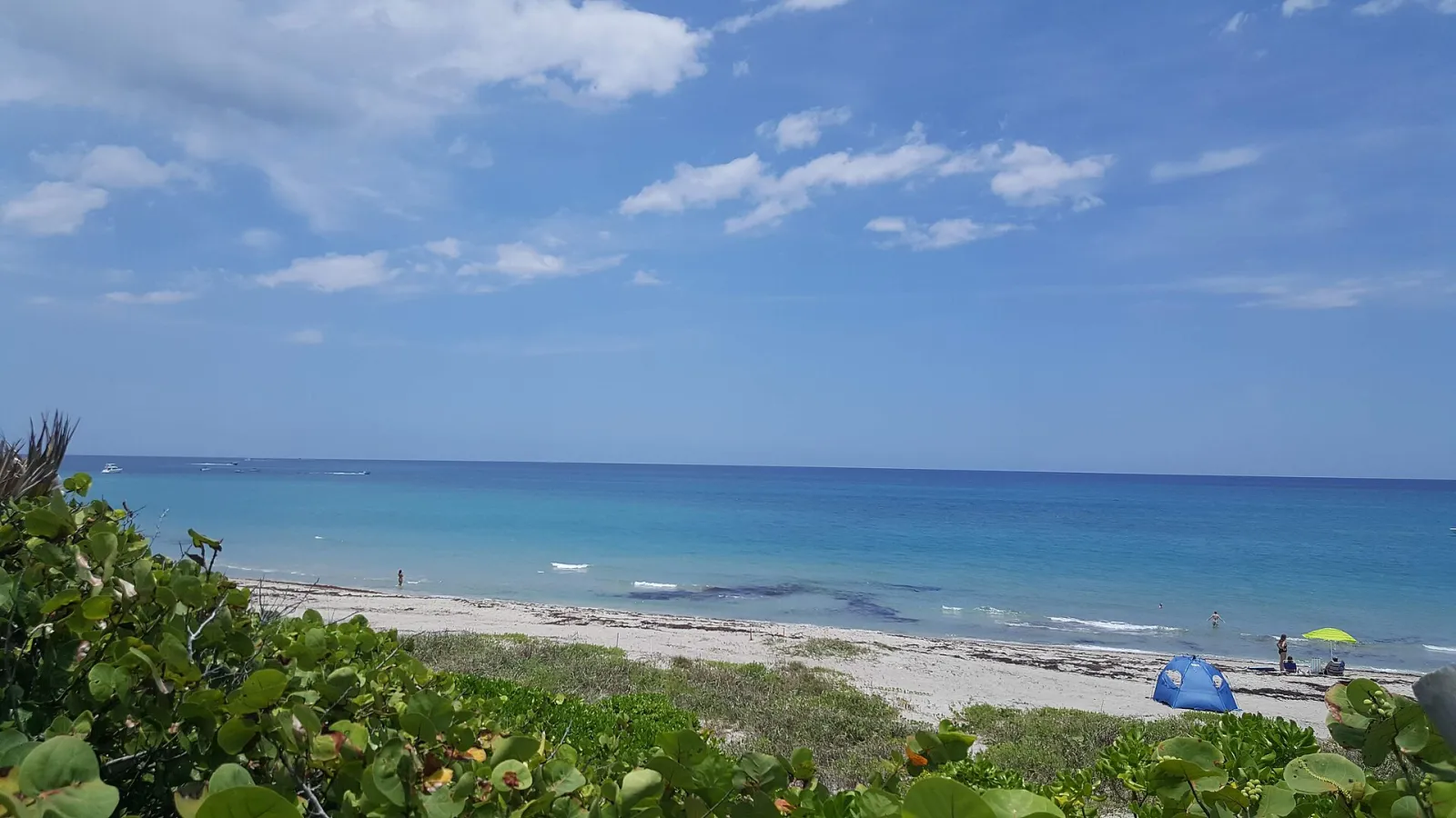 Jupiter Dog Beach, Jupiter, Florida, United States